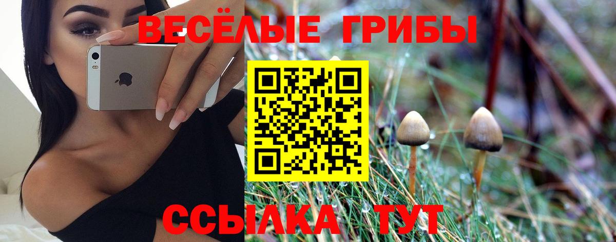 Псилоцибиновые грибы прущие грибы Выборг