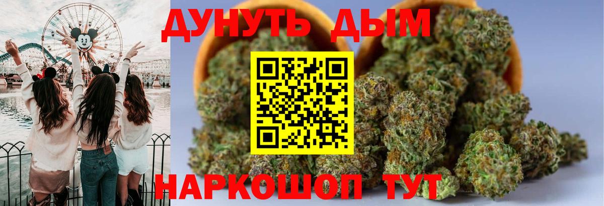 Конопля марихуана Выборг